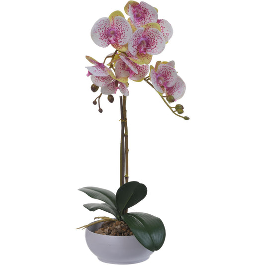 Orquidea 54.5cm